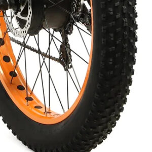 9160 Fatbike RIM